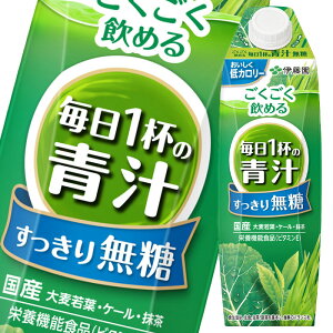 ɓ ߂ 1t̐`1L pbN ×1P[XiS6{j 
