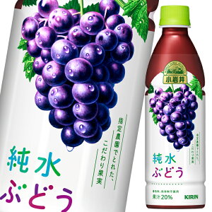 L  Ԃǂ430ml×2P[XiS48{j 
