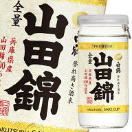 白鶴酒造 上撰サケパック 山田錦 200ml 瓶×1ケース（全30本） 送料無料