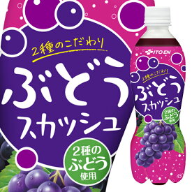 伊藤園 2種のこだわりぶどうスカッシュ450ml×3ケース（全72本） 送料無料