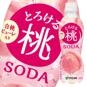 ɓ Ƃ낯铍\[_450ml×2P[XiS48{j 