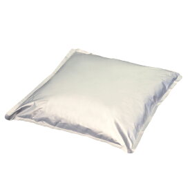 先着限りクーポン付 カゴメ ダイストマト イタリア産5kgピロー×1ケース（全2本） 送料無料【co】