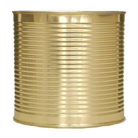 先着限りクーポン付 カゴメ ダイストマト 加工用 イタリア産2.5kg缶×2ケース（全12本） 送料無料【co】