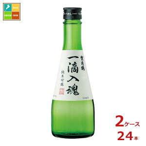 Β H300mlr×2P[XiS24{j