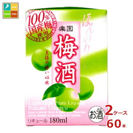 清洲桜醸造 楽園 梅酒 ミニ 180ml紙パック×2ケース（全60本）送料無料