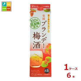 清洲桜醸造 楽園 ブランデー 梅酒 1.8L紙パック×1ケース（全6本）送料無料