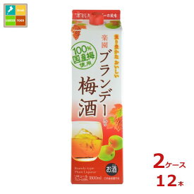 清洲桜醸造 楽園 ブランデー 梅酒 1.8L紙パック×2ケース（全12本）送料無料