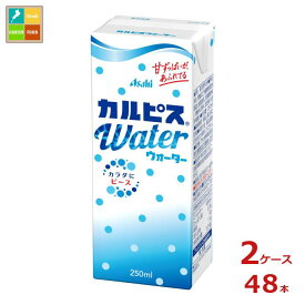 エルビー カルピスウォーター250ml紙パック×2ケース（全48本）送料無料
