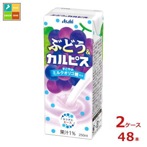 Gr[ ԂǂJsX250mlpbN×2P[XiS48{j