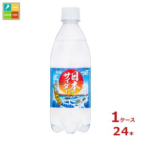 チェリオ 日本のサイダー500ml×1ケース（全24本）送料無料