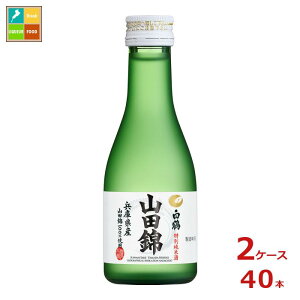 ߎ   ʏĎ Rc180mlr×2P[XiS40{j