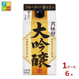 月桂冠 大吟醸パック900ml紙パック×1ケース（全6本）送料無料