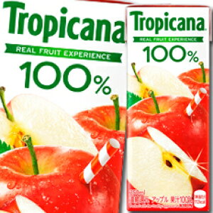 L gsJ[i100 Abv250ml LLXpbN×2P[XiS48{j 