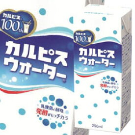 楽天市場 エルビー カルピスウォーター 250mlの通販