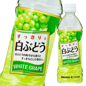 TKA ƔԂǂ500ml×1P[XiS24{j 