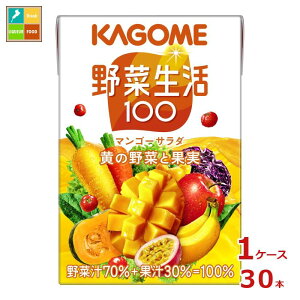 JS ؐ100 }S[T_100ml×1P[XiS30{j 