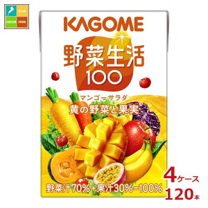 JS ؐ100 }S[T_100ml×4P[XiS120{j 