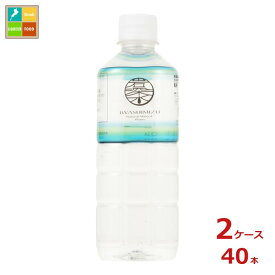 岩深水 500ml×2ケース（全40本） 送料無料 いわふか水