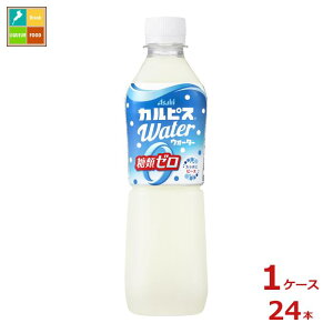 ATq JsXEH[^[ ރ[ 500ml×1P[XiS24{j