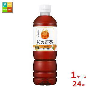 ATq a̍g  ACXeB[500ml×1P[XiS24{j