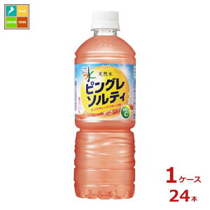 ATq  VR sO\eB sNO[vt[c600ml×1P[XiS24{j