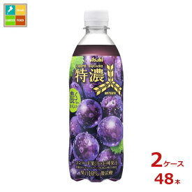 アサヒ 三ツ矢 特濃グレープスカッシュ 500ml×2ケース（全48本）送料無料