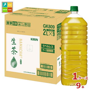 L  xX lbg̔p2L×1P[XiS9{j