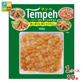 ヤマク テンペ100g×1ケース（全10本）送料無料