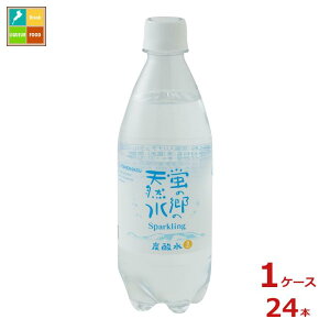 F ű̓VR Xp[NO500ml×1P[XiS24{j