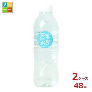 F ű̓VR500ml×2P[XiS48{j