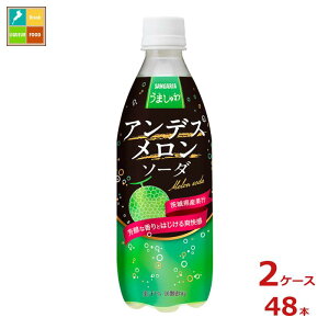 TKA ܂AfX\[_500ml×2P[XiS48{j 
