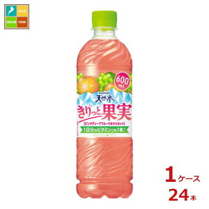 MǑ΍ Tg[ VR Ɖʎ sO}XJbg600ml×1P[XiS24{j