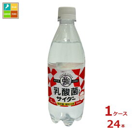 友桝飲料 乳酸菌入り サイダー500ml×1ケース（全24本）送料無料