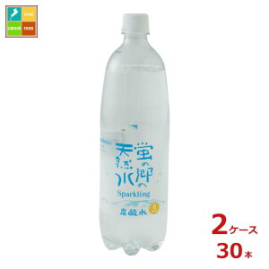 F ű̓VR Xp[NO1L×2P[XiS30{j