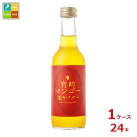 訳あり※在庫処分の為 友桝飲料 完熟マンゴー サイダー300ml瓶×1ケース（全24本）送料無料