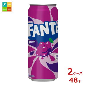 RJR[ t@^ O[v500ml×2P[XiS48{j Vi V