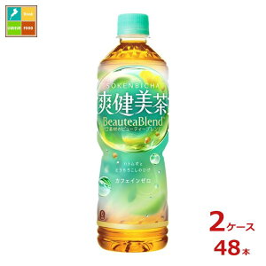 RJR[ u600ml×2P[XiS48{j 