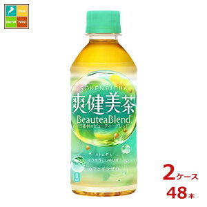 RJR[ u300ml×2P[XiS48{j 