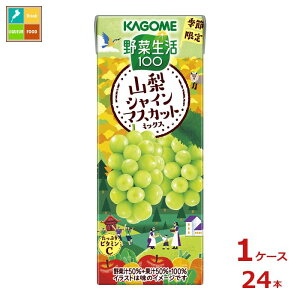 JS ؐ100 RVC}XJbg~bNX195mlpbN×1P[XiS24{j