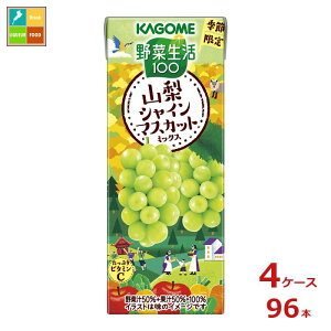 JS ؐ100 RVC}XJbg~bNX195mlpbN×4P[XiS96{j