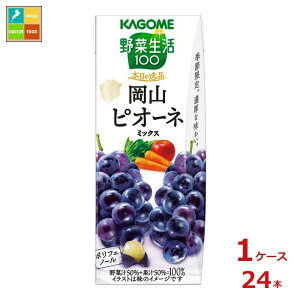 JS ؐ100 {̈i RsI[l~bNX195ml×1P[XiS24{j