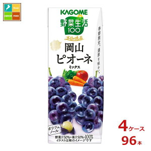 JS ؐ100 {̈i RsI[l~bNX195ml×4P[XiS96{j