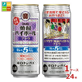 宝酒造 焼酎ハイボール ブドウ500ml缶×1ケース（全24本）送料無料 新商品 新発売