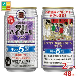 宝酒造 焼酎ハイボール ブドウ350ml缶×2ケース（全48本）送料無料 新商品 新発売