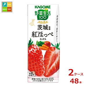 JS ؐ100 {̈i 錧Ygق؃~bNX195mlpbN×2P[XiS48{j Vi V