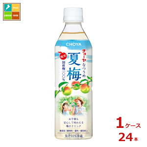 �`���[�� �Ĕ~500g×1�P�[�X�i�S24�{�j��������
