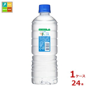 �A�T�q ���������� �V�R�� �V���v��eco���x��600ml×1�P�[�X�i�S24�{�j��������