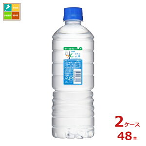 �A�T�q ���������� �V�R�� �V���v��eco���x��600ml×2�P�[�X�i�S48�{�j��������