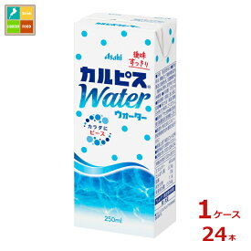 エルビー カルピスウォーター250ml紙パック×1ケース（全24本）送料無料
