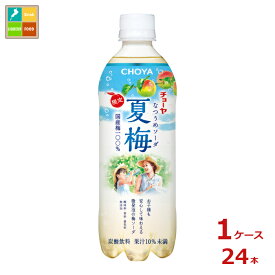 チョーヤ 夏梅ソーダ500g×1ケース（全24本）送料無料